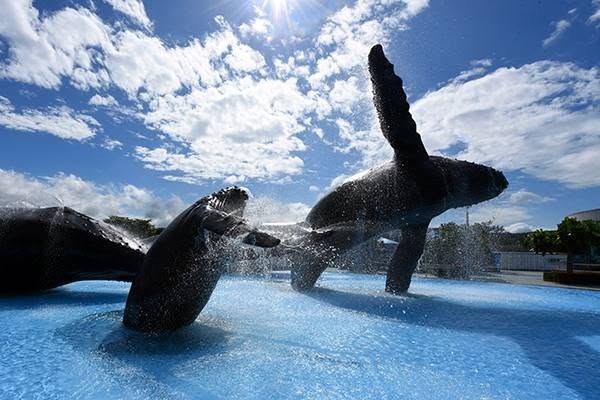 海生館戶外場館情境圖